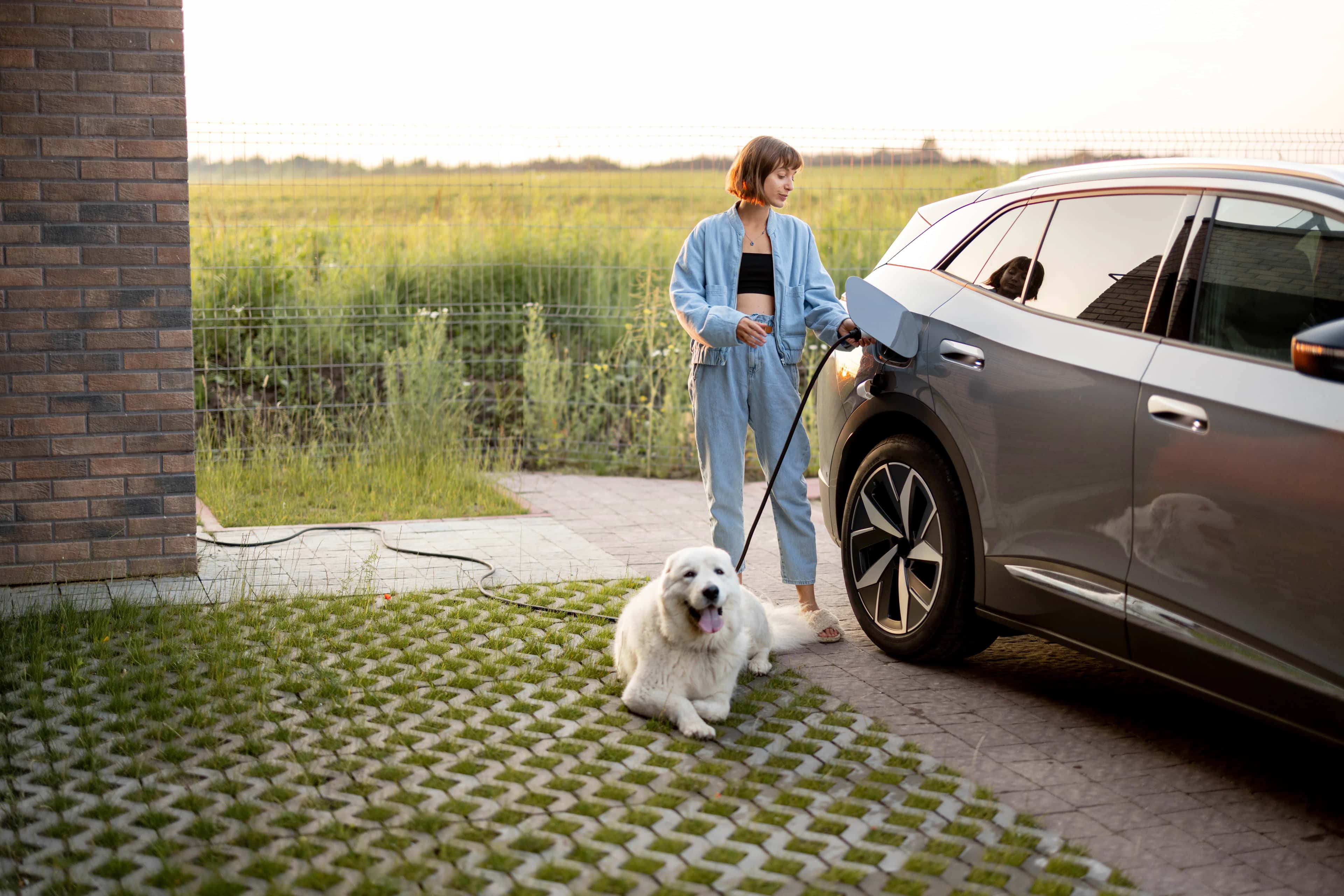 Utilitaires électriques : La solution d'avenir pour les professionnels
